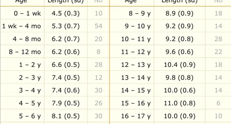 normal kidney size in cm by age