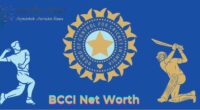 BCCI Net Worth