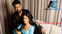 Vicky Kaushal Net Worth