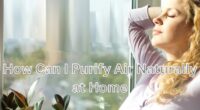 How Can I Purify Air Naturally at Home